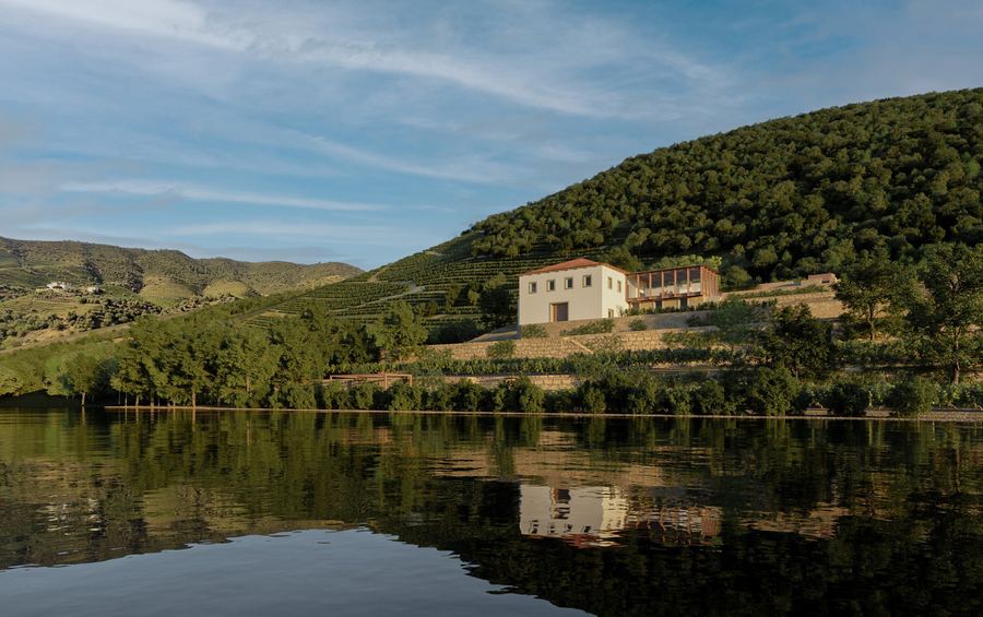Alto Douro House, imagem 4